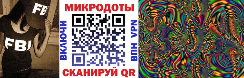 ссылка на мегу ССЫЛКА Камышин Псилоцибиновые грибы Psilocybine cubensis купить